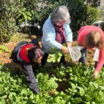 WhatsApp Image 2025-08-15 at 13.17.30 (1)