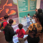 d3f3221a-4502-49c1-97de-eebc257fdb5b